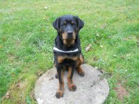 /album/aron/snimek-029h-jpg/